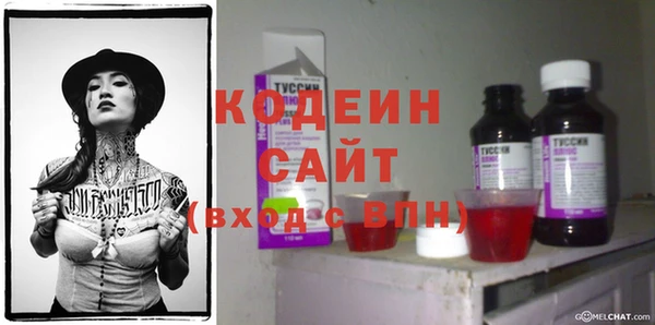 шишки Вяземский