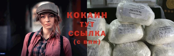 гидра Володарск