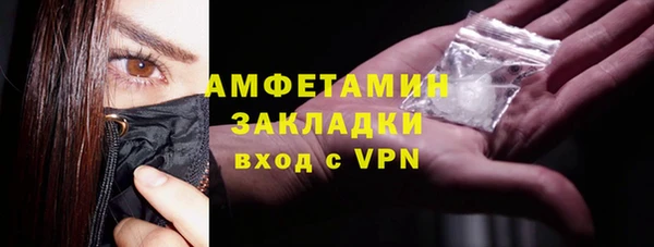 шишки Вяземский