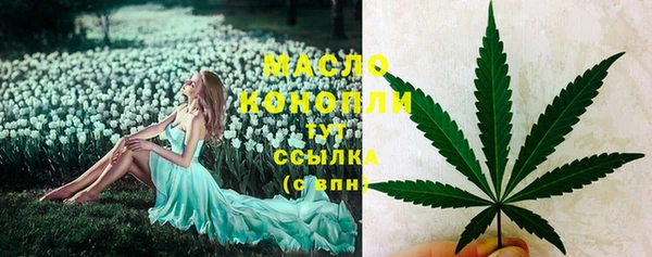 шишки Вяземский