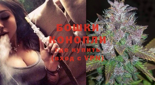 шишки Вяземский