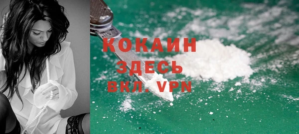 шишки Вяземский