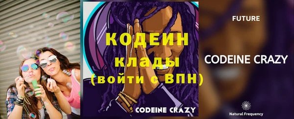 шишки Вяземский