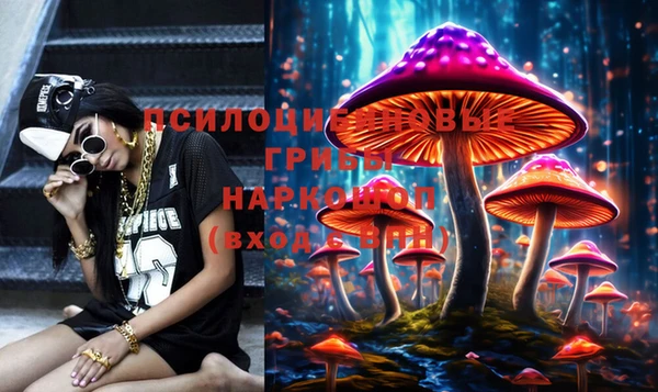 хмурый Вязники